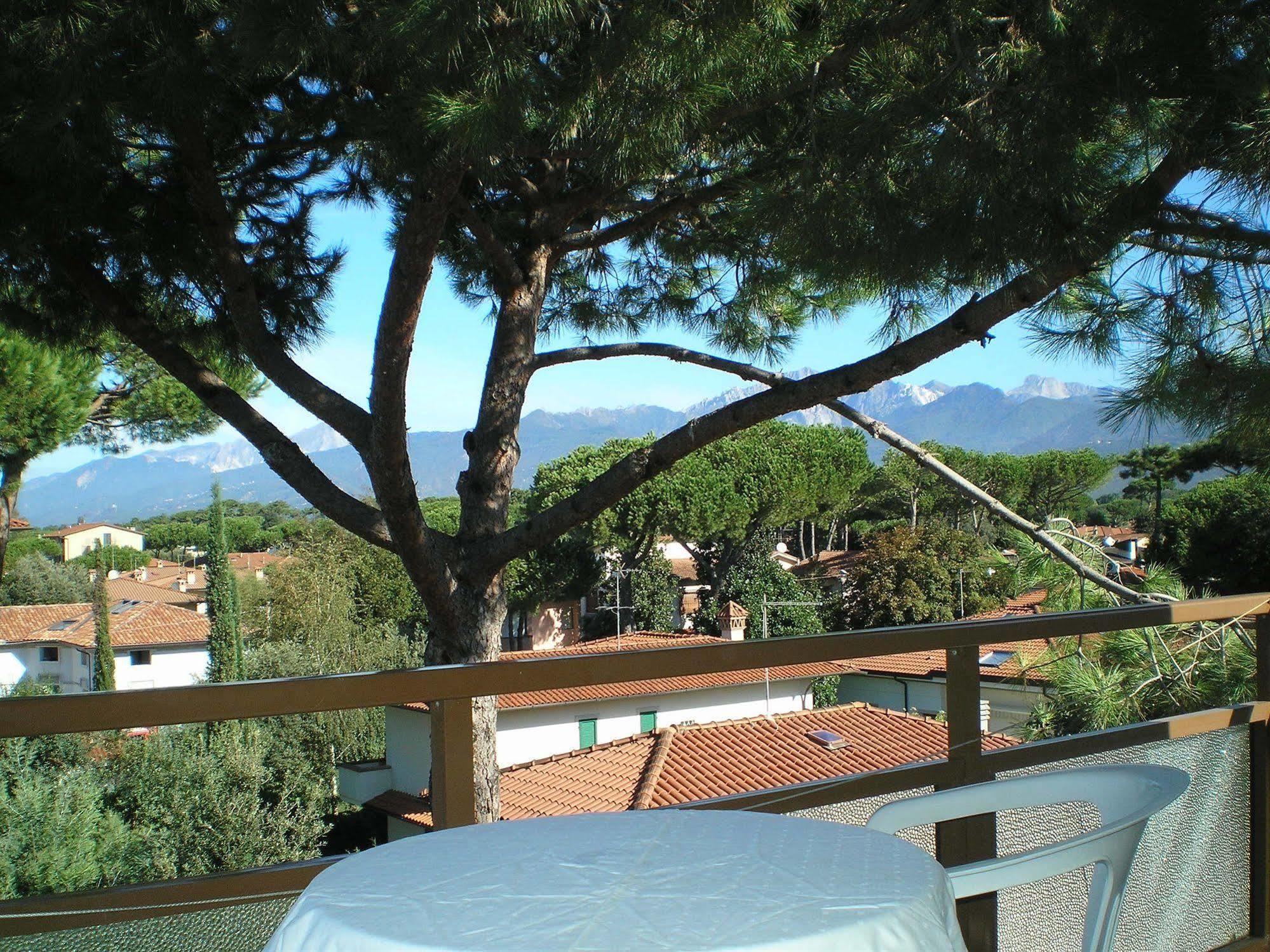 Hotel Elizabeth Marina di Pietrasanta Dış mekan fotoğraf